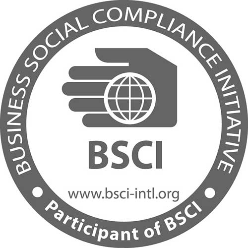 The Business Social Compliance Initiative (BSCI)